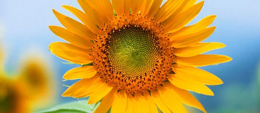 НАША ЭНЕРГИЯ МОЩНАЯ И ЧИСТАЯ!