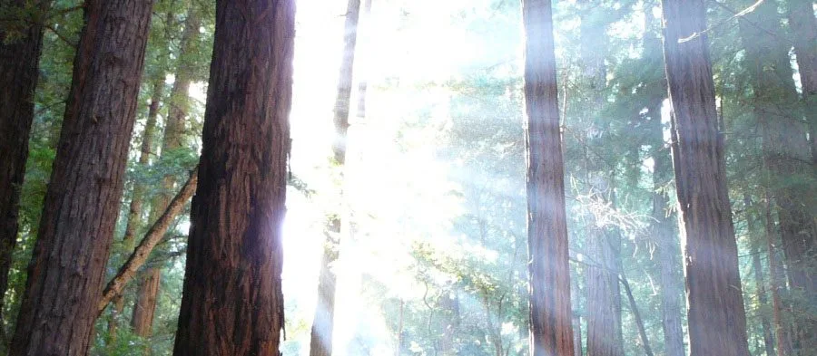 МИР ЗАБОТИТСЯ О НАС!